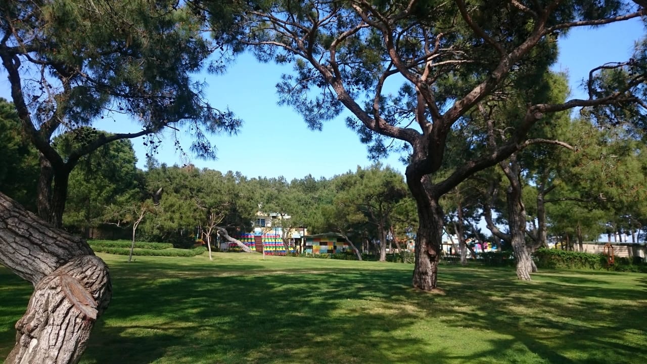Schön grün Rixos Sungate