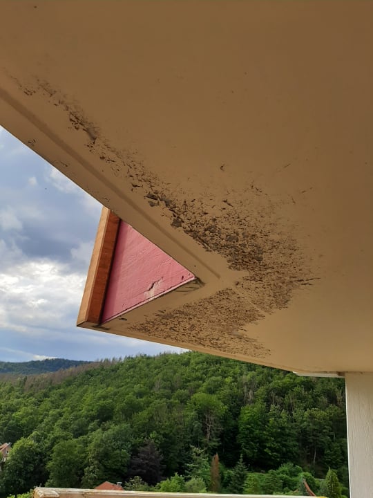 Zimmer Panoramic - Ihr Apartmenthotel im Harz