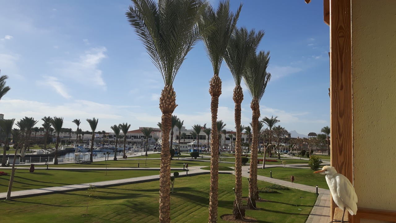 Außenansicht Pickalbatros Dana Beach Resort - Hurghada