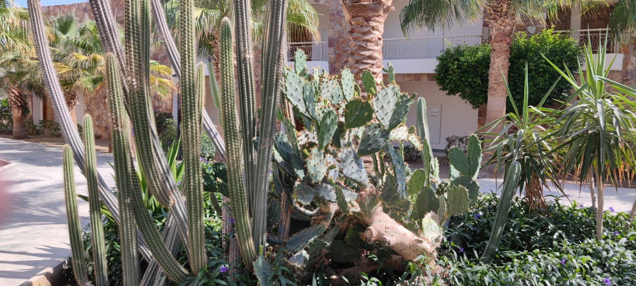 Gartenanlage Brayka Bay Resort