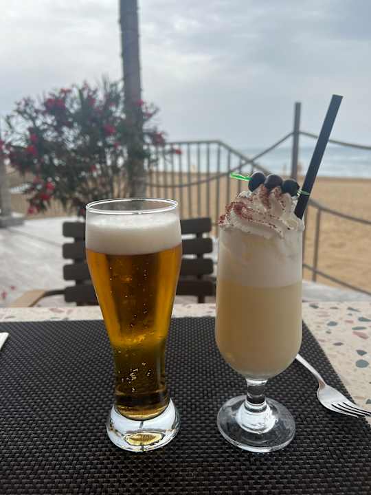 Gastro Seashell Vega