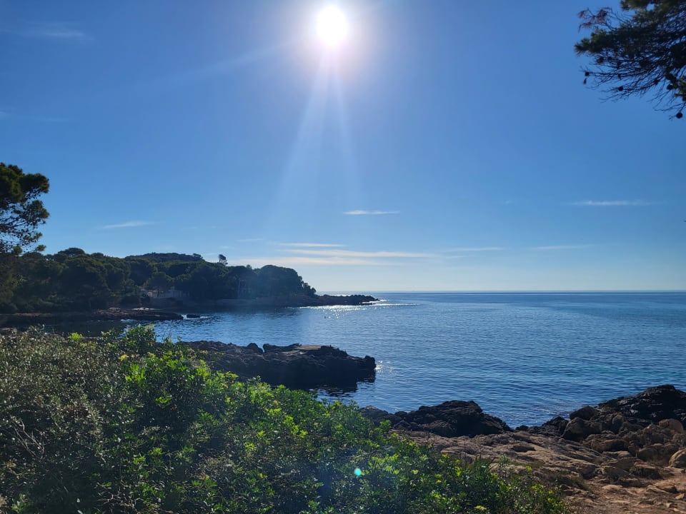Ausblick Iberostar Waves Pinos Park