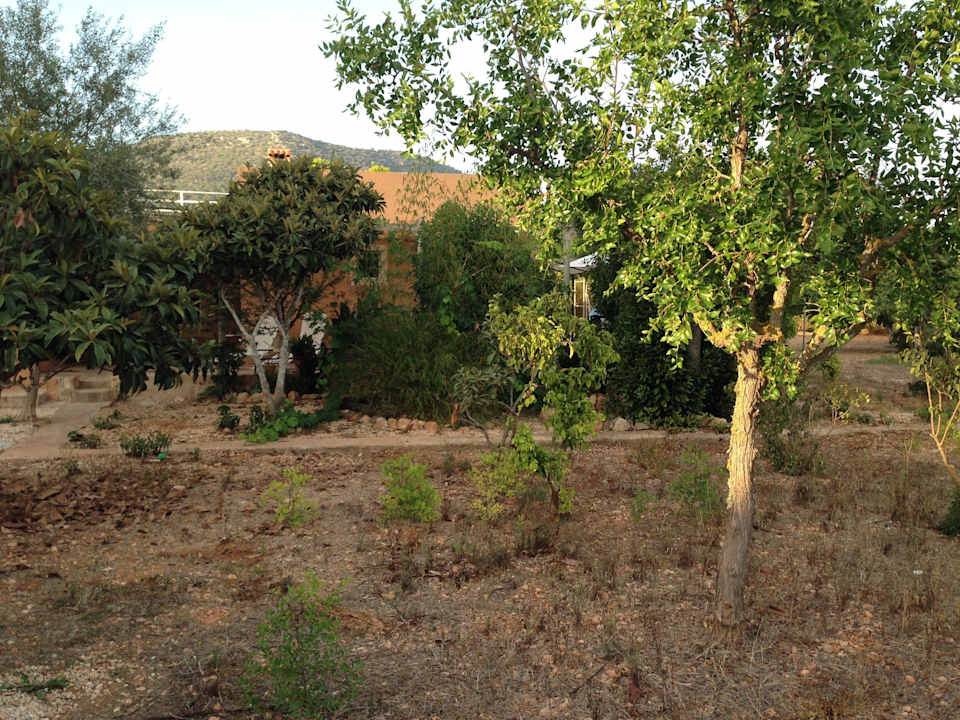 Ungepflegter Garten Finca Kalotta