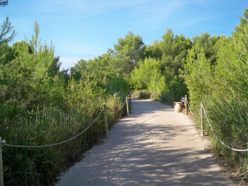 Pinienwald - Weg zum Strand Vivosa Apulia Resort