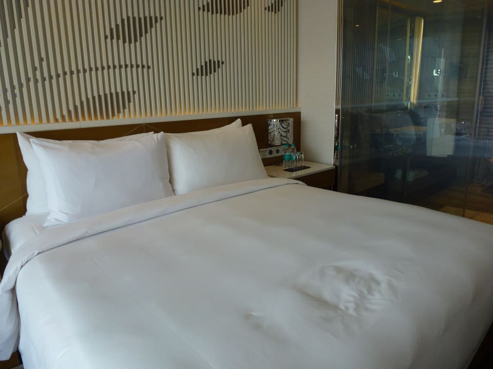 Zimmer Renaissance Lucknow Hotel