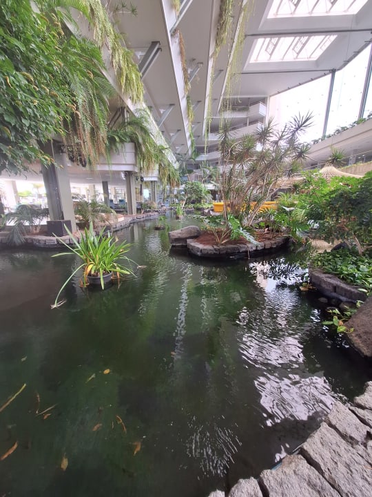 Gartenanlage Hotel Grand Teguise Playa