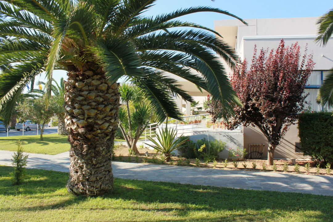 Blick in Richtung Restaurant  Hotel Esperia