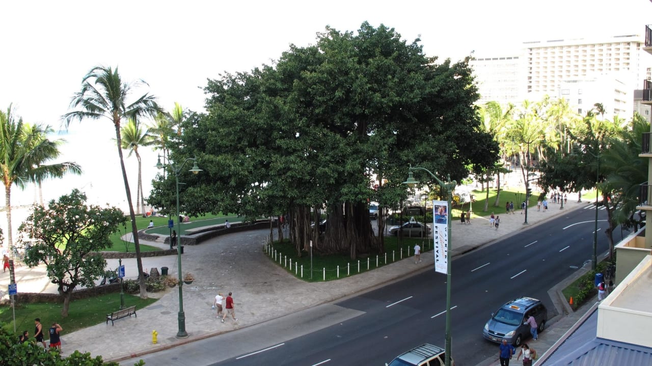 Blick auf den Kuhio Beach von unserem Balkon Hotel Aston Waikiki Circle