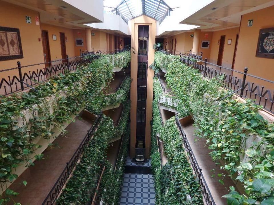 Interior del Hotel  Playacanela Hotel