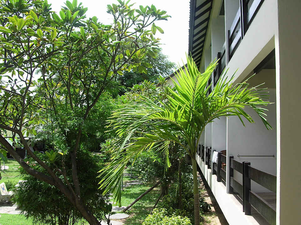 Ausblick vom Balkon. Hotel Garden Lodge