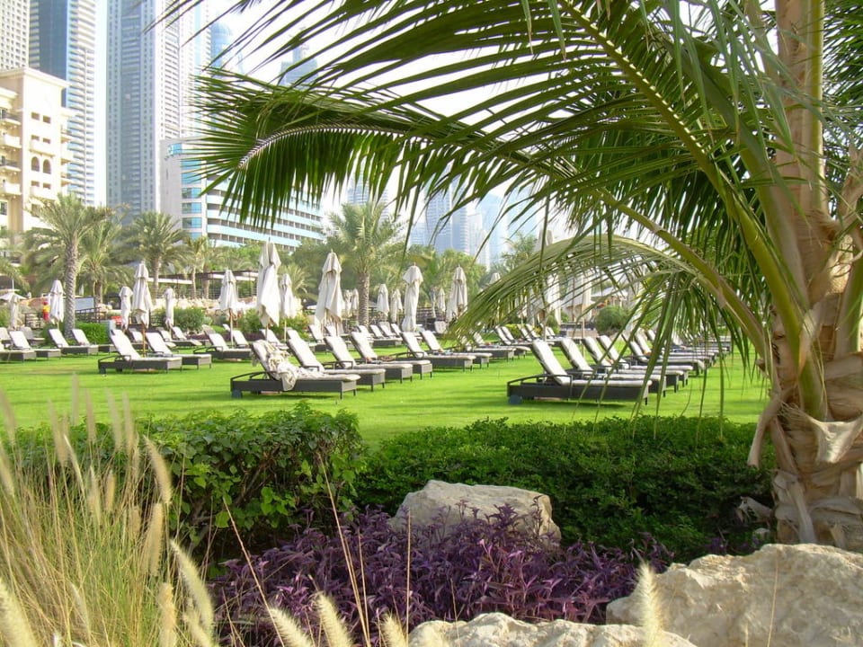 Liegewiese The Westin Dubai Mina Seyahi Beach Resort & Marina