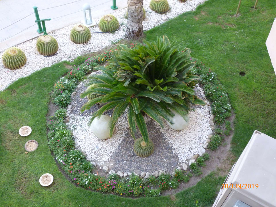 Gartenanlage Pickalbatros Palace Resort