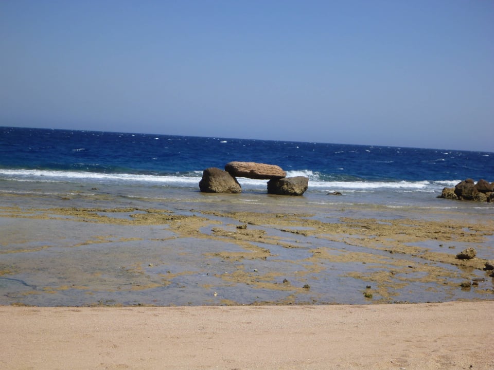 Ebbe am Strand Pickalbatros Citadel Resort