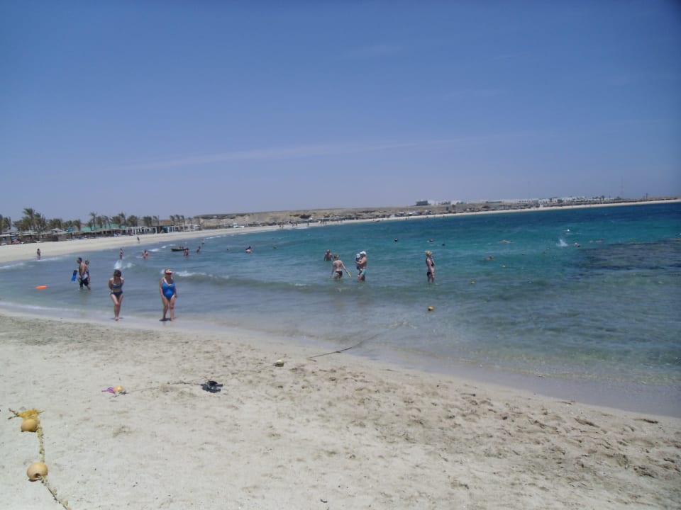 Plaża Malikia Resort Abu Dabbab