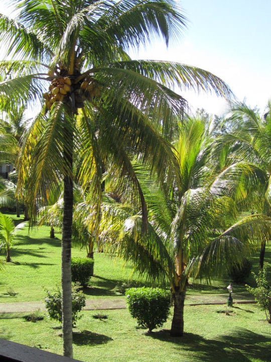 Vue chambre Outrigger Mauritius Beach Resort