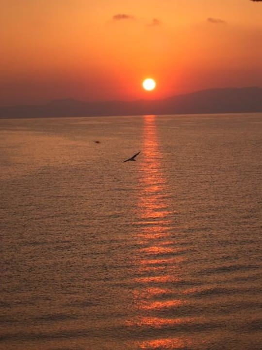 Sonnenaufgang Ammon Zeus Luxury Beach Hotel