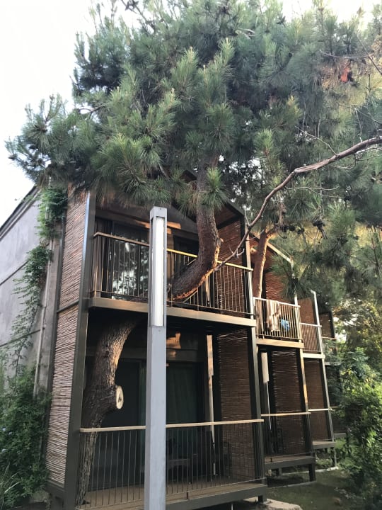 Außenansicht Club Marvy