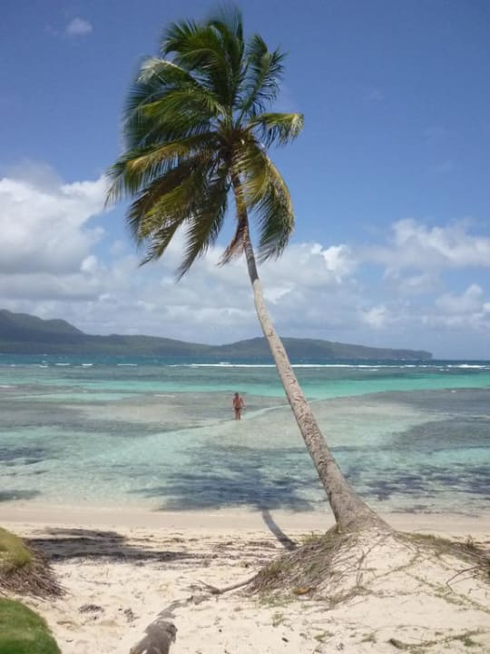 An der Playita in Las Galeras Wyndham Alltra Samana
