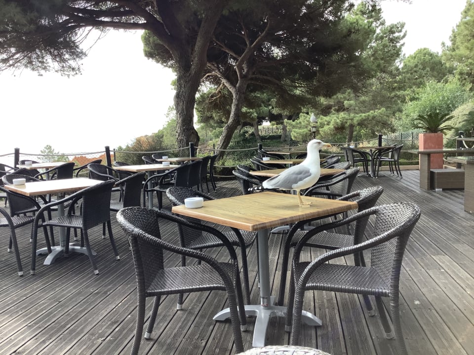 Gastro PortoBay Falésia