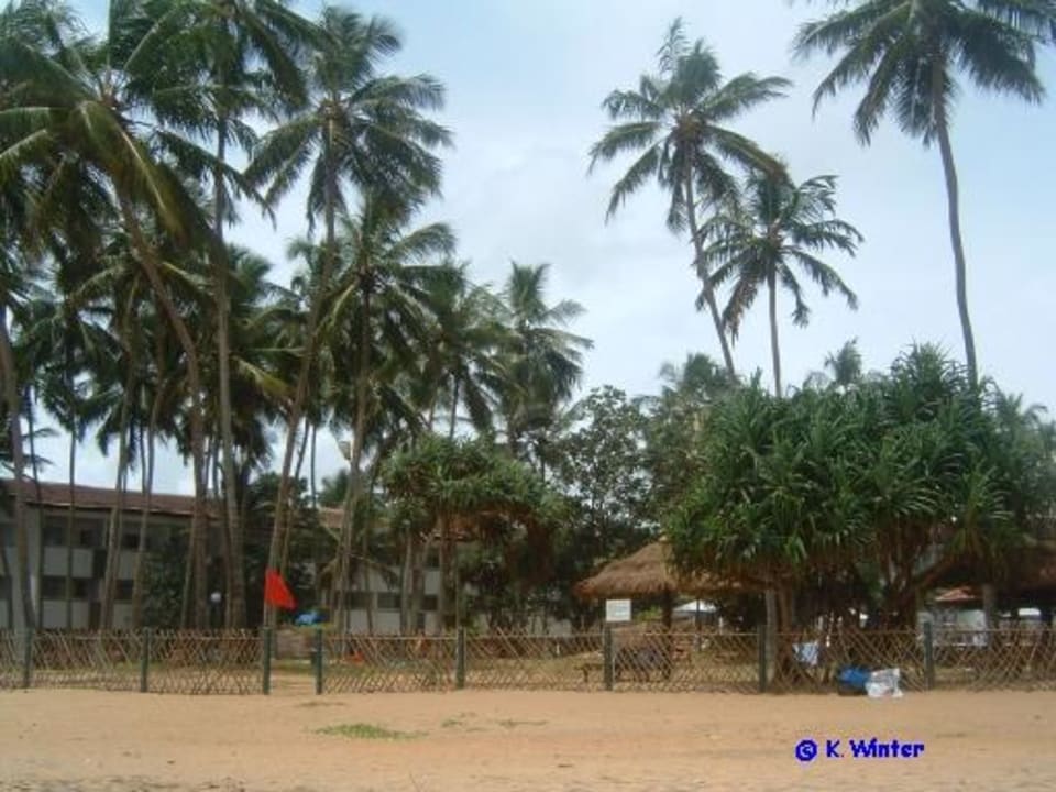 Blick vom Meer aufs Hotel Tangerine Beach Hotel