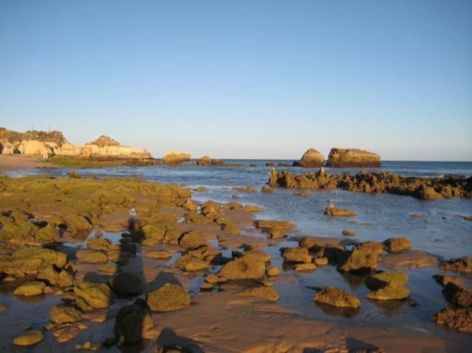 Hotel Strand Monica Isabel Beach Club