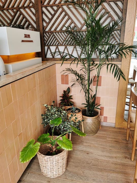 Sonstiges Tribe Pattaya