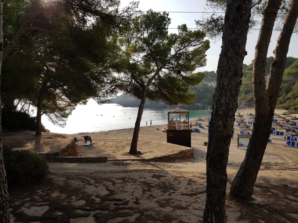 Ausblick Iberostar Waves Pinos Park