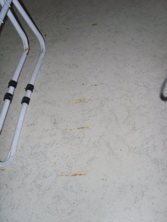 Rost am Boden Hotel Stella