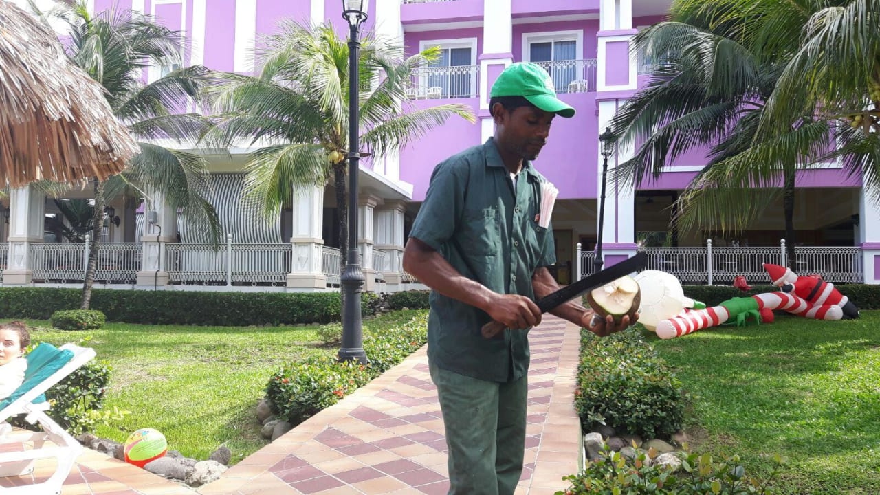 Angestellter mit Kokosnuss  Hotel Riu Ocho Rios