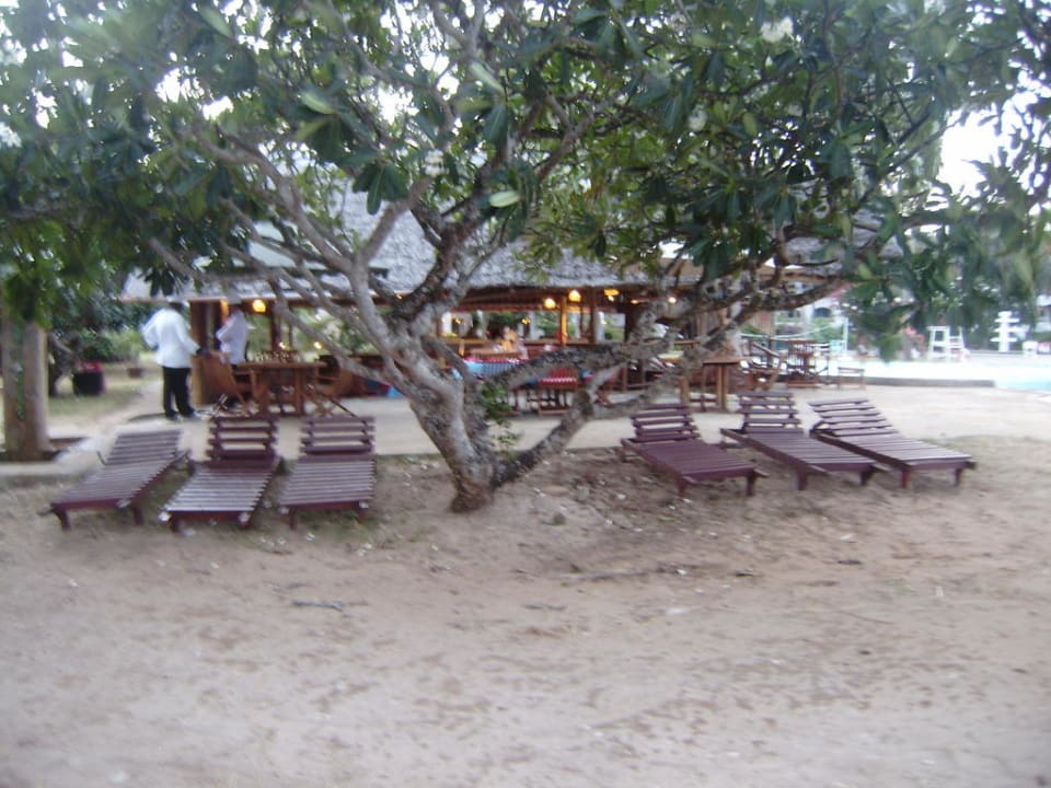 Gartenliegen Reef Hotel Mombasa