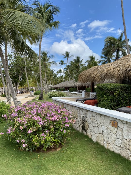 Gartenanlage Hotel Viva Dominicus Beach by Wyndham - All Inclusive Resort