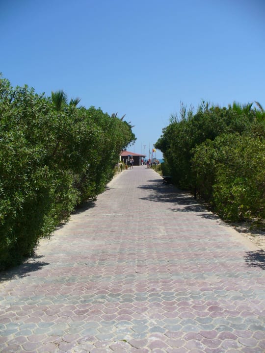 Weg zum Strand TUI MAGIC LIFE Penelope Beach