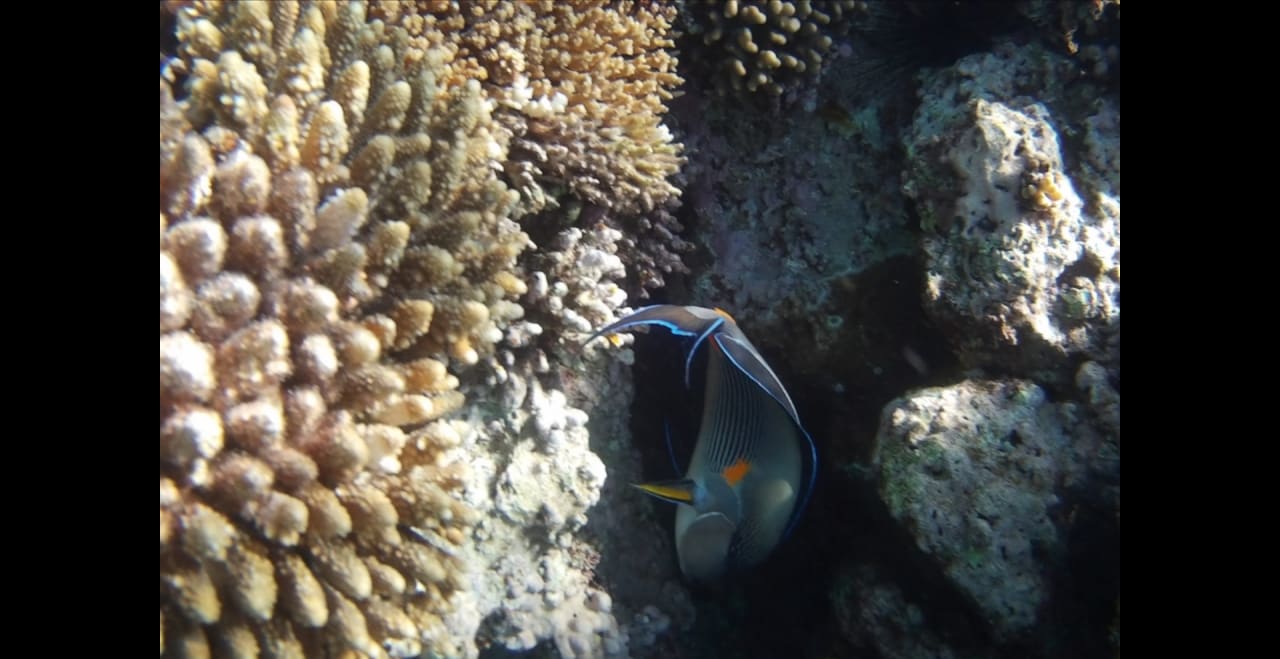 Sport & Freizeit Premier Le Reve Hotel & Spa