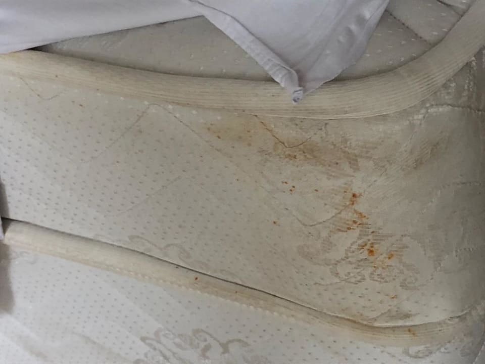 Zimmer Regulus Beach Resort Hotel Kadıkale