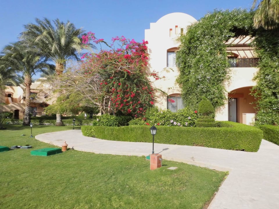 Alles picobello Steigenberger Coraya Beach - Adults only