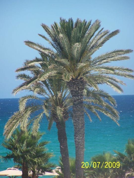 Widok z okna Hotel Thalassa Mahdia