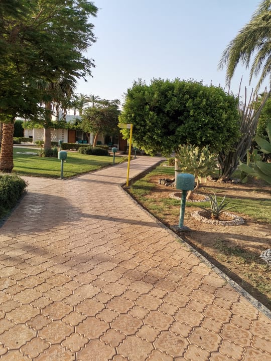 Gartenanlage Shams Safaga Resort