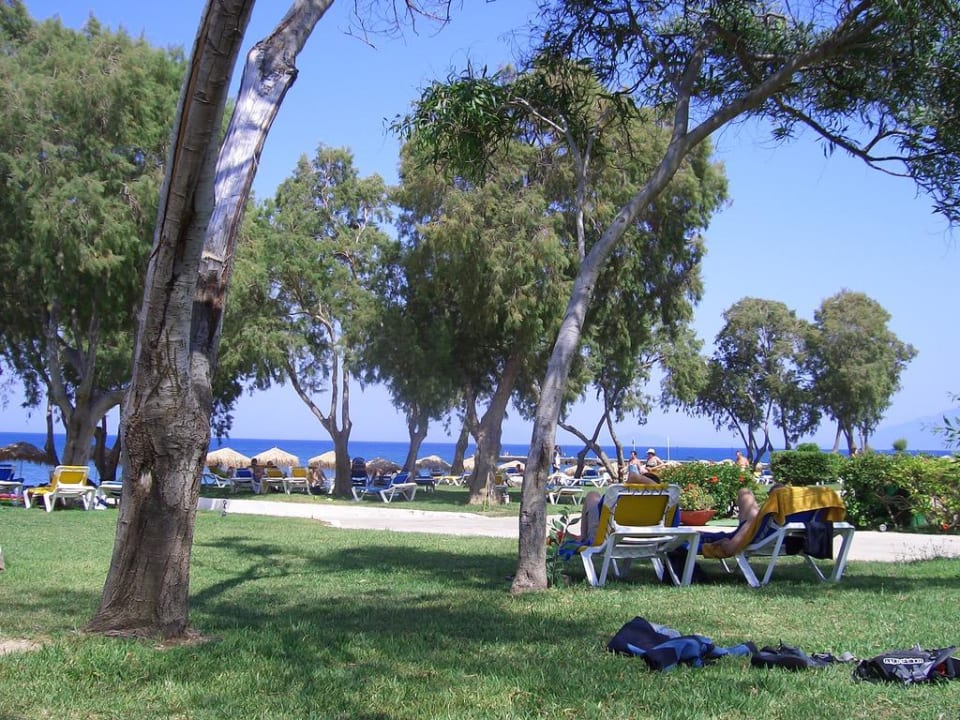 Ein Teil der Liegewiese TUI BLUE Oceanis Beach and Spa Resort