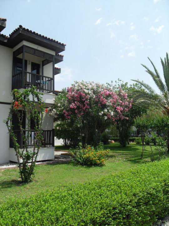 Bungalow mit Aussicht Hotel Club Nena