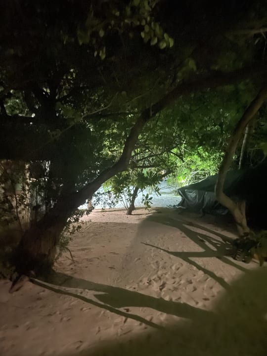 Ausblick Summer Island Maldives