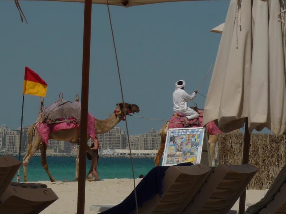 Strand des Hilton Jumeirah Beach Golden Sands Hotel Creek