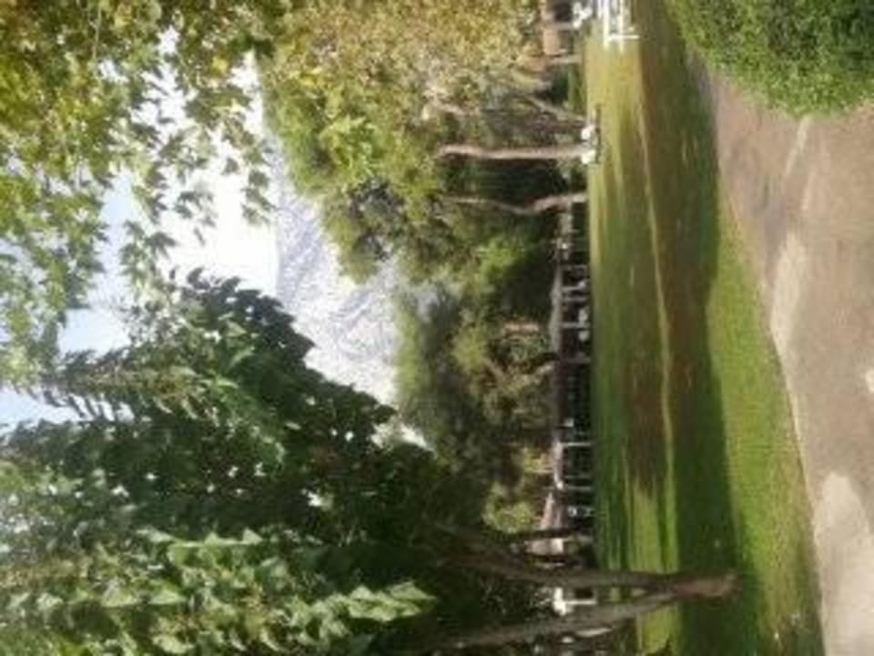  wunderschön Balmy Foresta