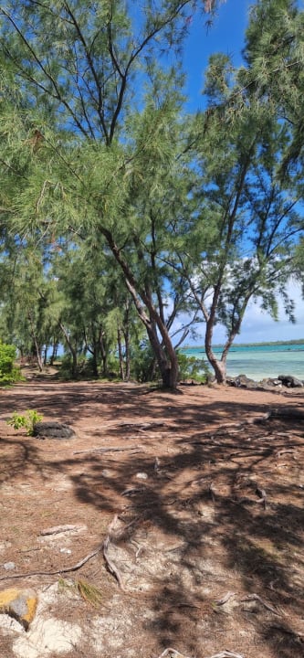 Strand Lagoon Attitude - Adults only