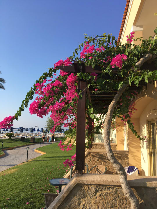 Gartenanlage Lindos Princess Beach Resort & Spa