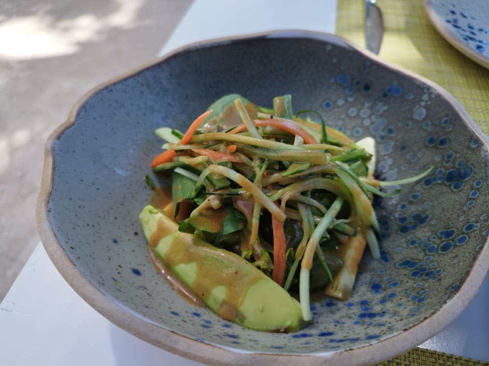 Gastro Acanthus Cennet Barut Collection