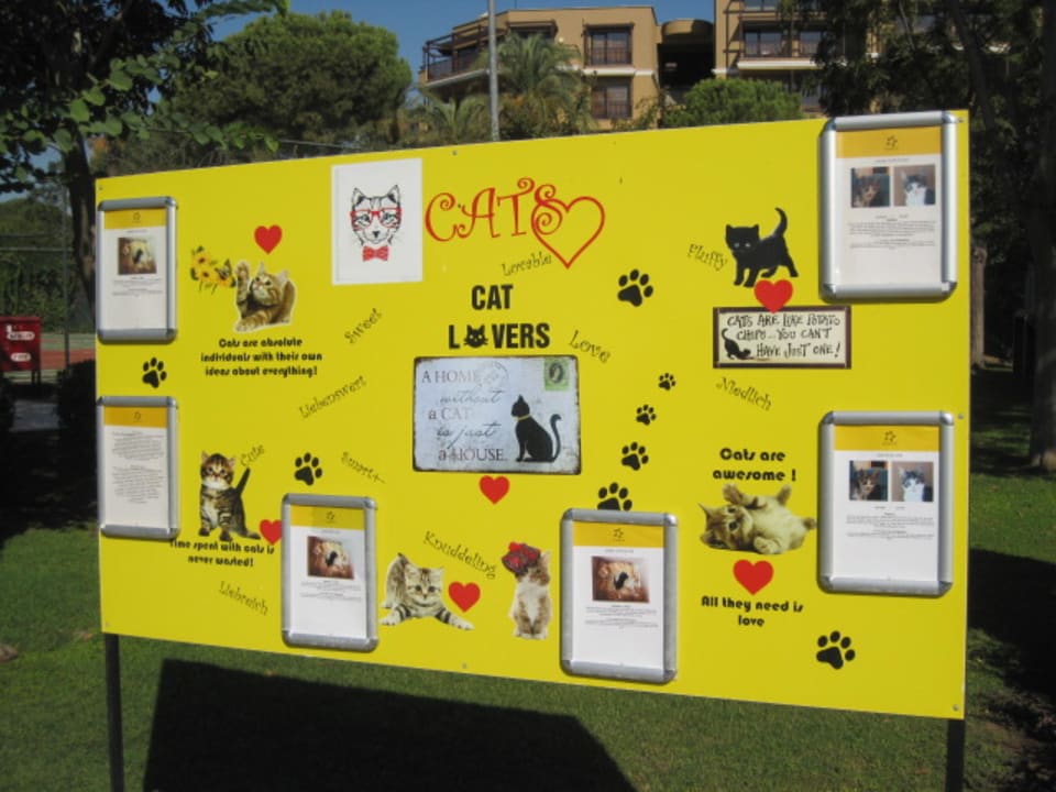 Sonstiges Asteria Family Belek