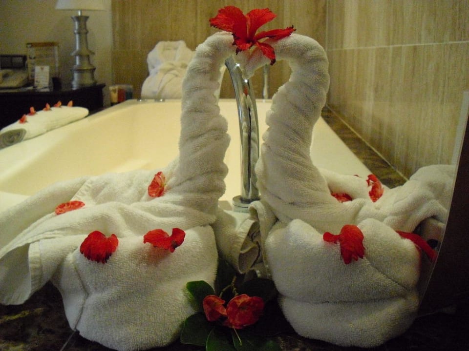 Handtuchkreationen TRS Turquesa Hotel - Adults only