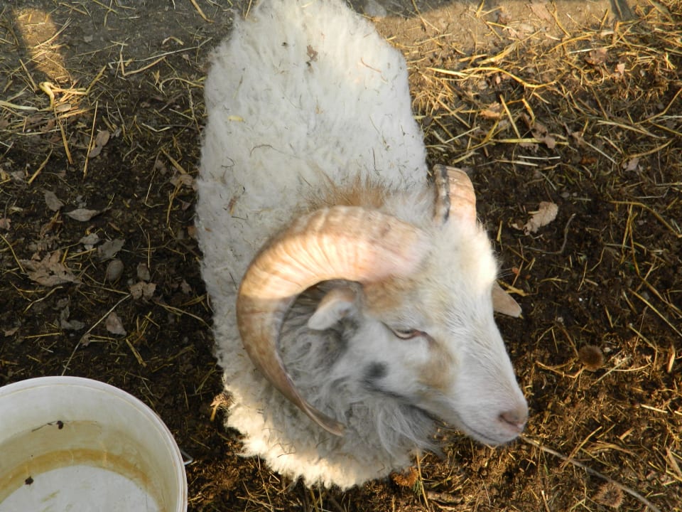 Simpatica e particolare ! Hotel Mair am Bach