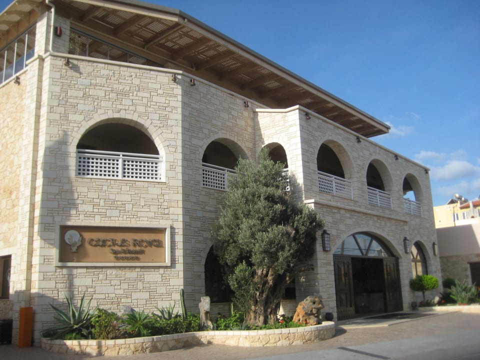 Cactus Royal Eingang Cactus Royal