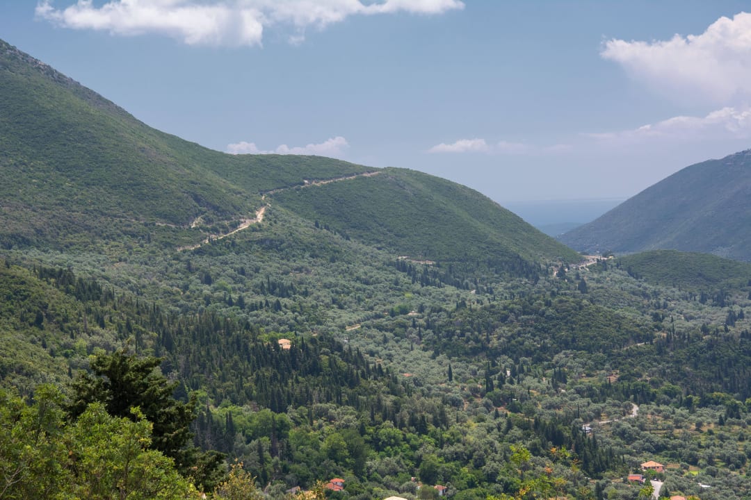 Calm View Studio Calm View